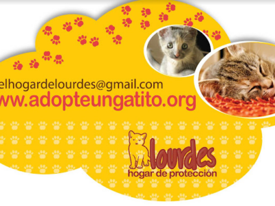 Hogar de Rescate y Protección Lourdes
