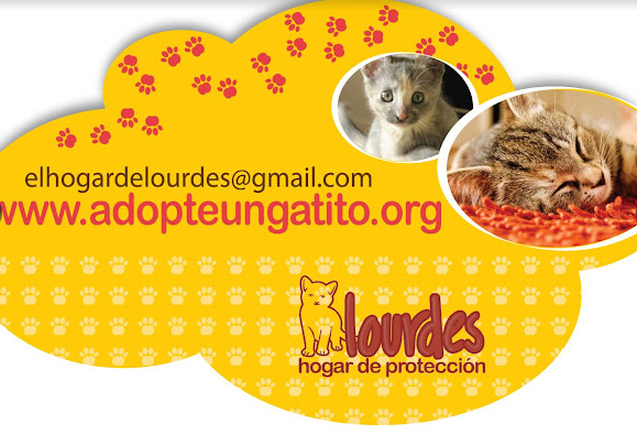 Hogar de Rescate y Protección Lourdes