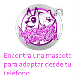 Mascotas en adopcion desde tu celular