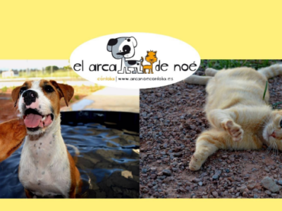 El Arca de Noé de Córdoba