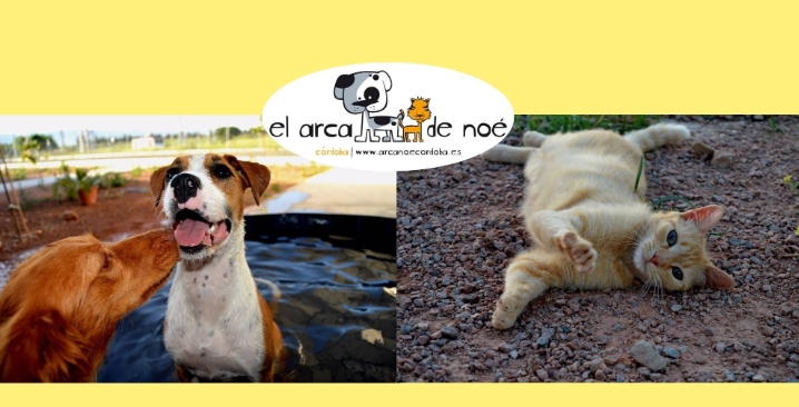 El Arca de Noé de Córdoba